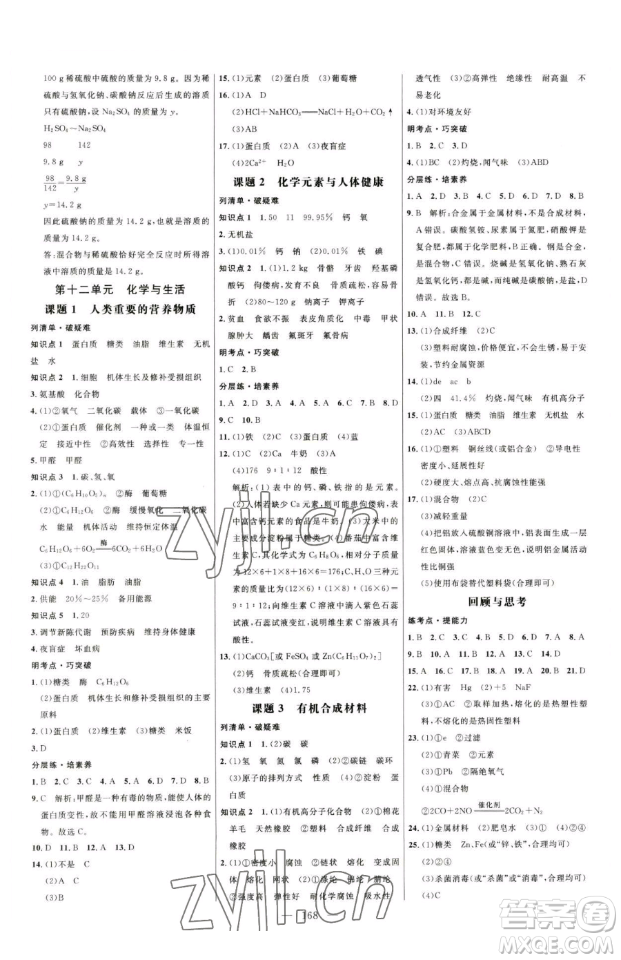 延邊大學出版社2023細解巧練九年級下冊化學人教版參考答案