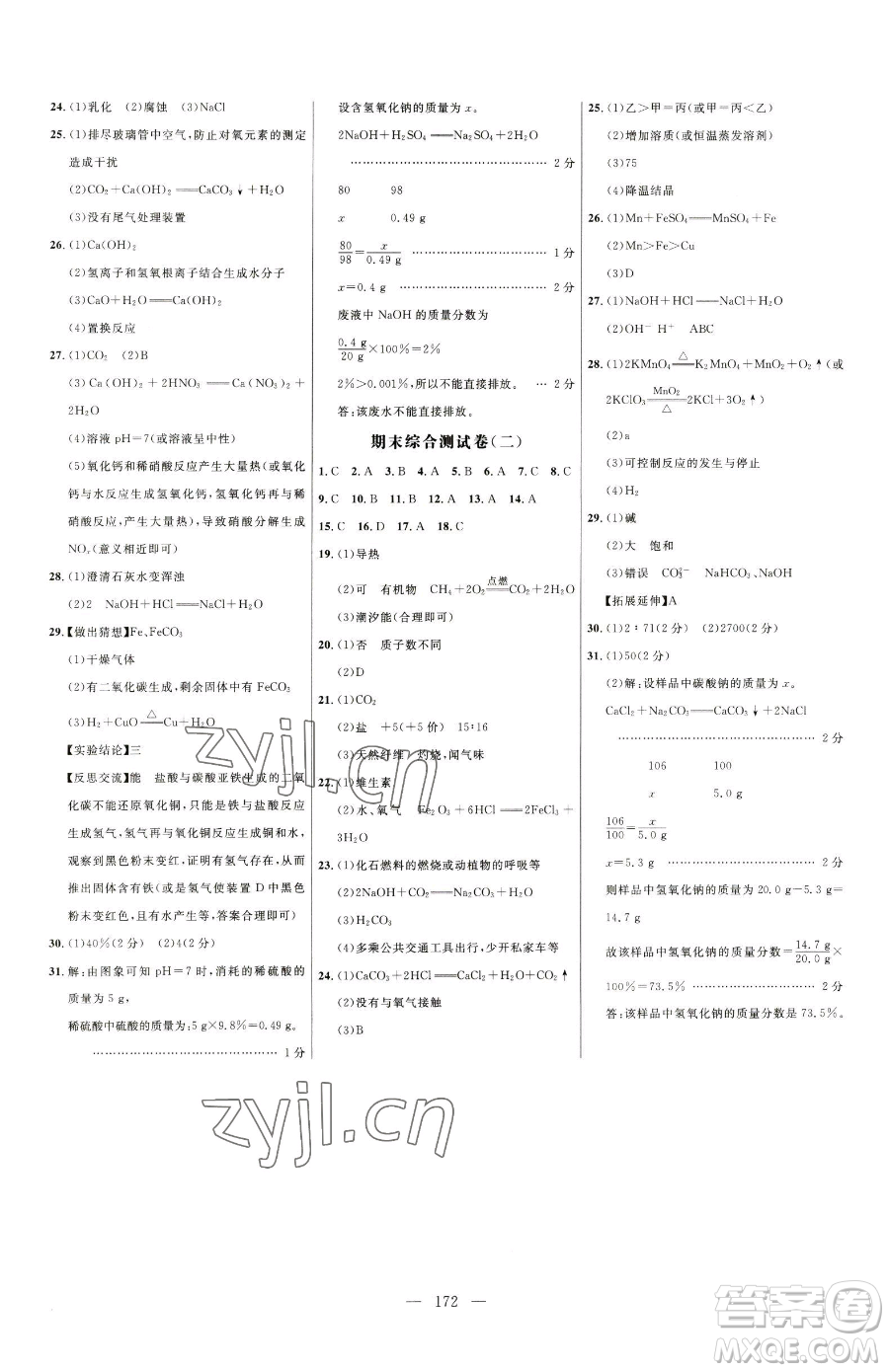 延邊大學出版社2023細解巧練九年級下冊化學人教版參考答案