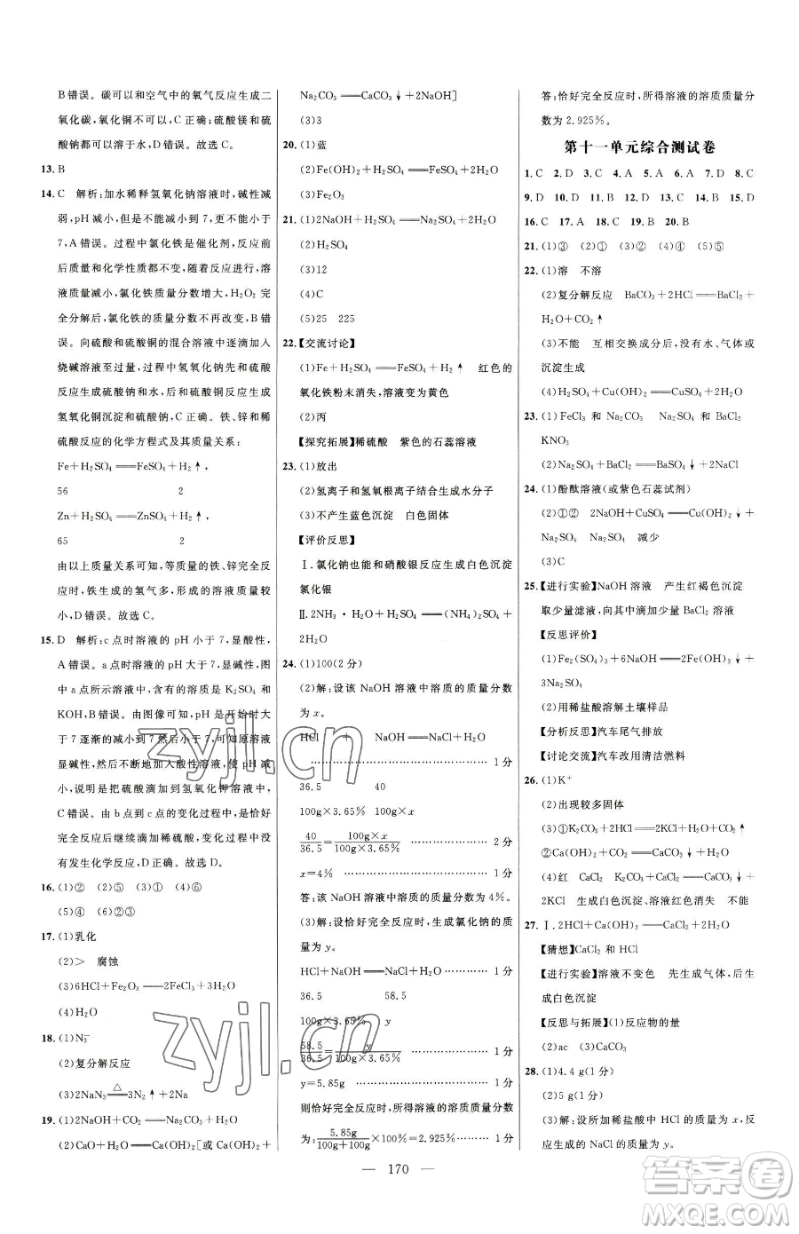 延邊大學出版社2023細解巧練九年級下冊化學人教版參考答案