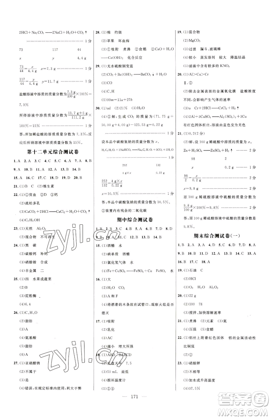 延邊大學出版社2023細解巧練九年級下冊化學人教版參考答案