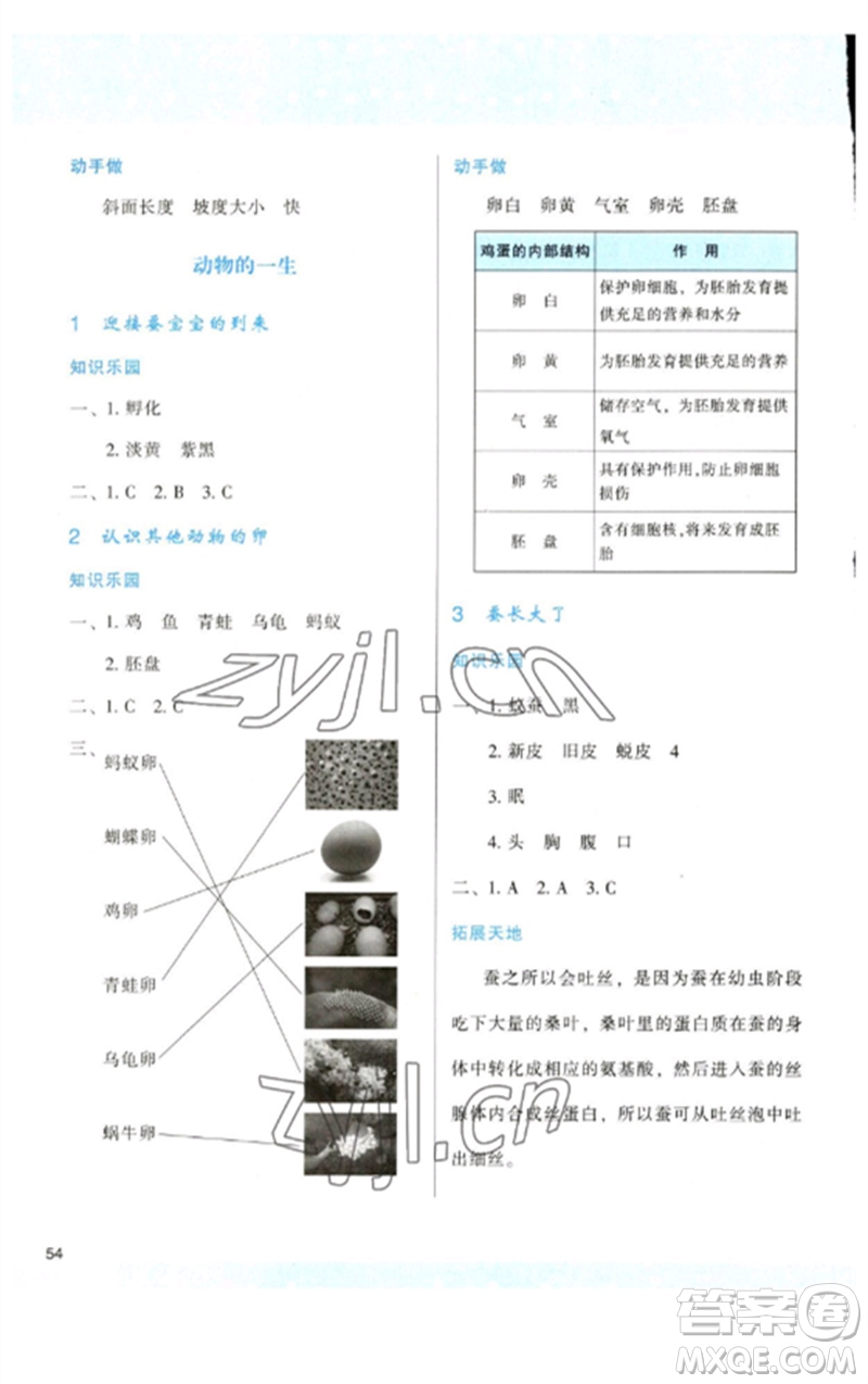 陜西人民教育出版社2023新課程學(xué)習(xí)與評(píng)價(jià)三年級(jí)科學(xué)下冊(cè)教科版參考答案