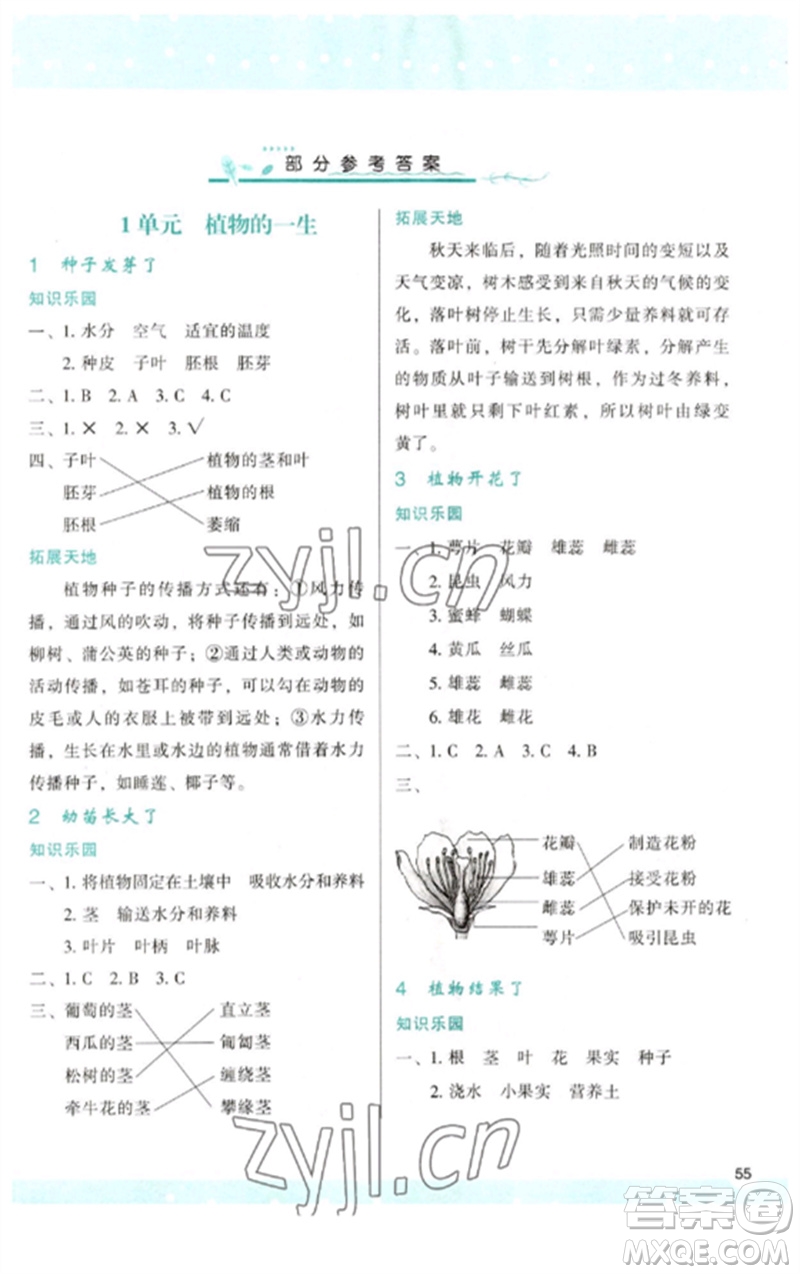 陜西人民教育出版社2023新課程學習與評價三年級科學下冊蘇教版參考答案