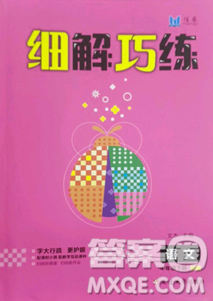 延邊大學(xué)出版社2023細(xì)解巧練四年級下冊語文人教版參考答案