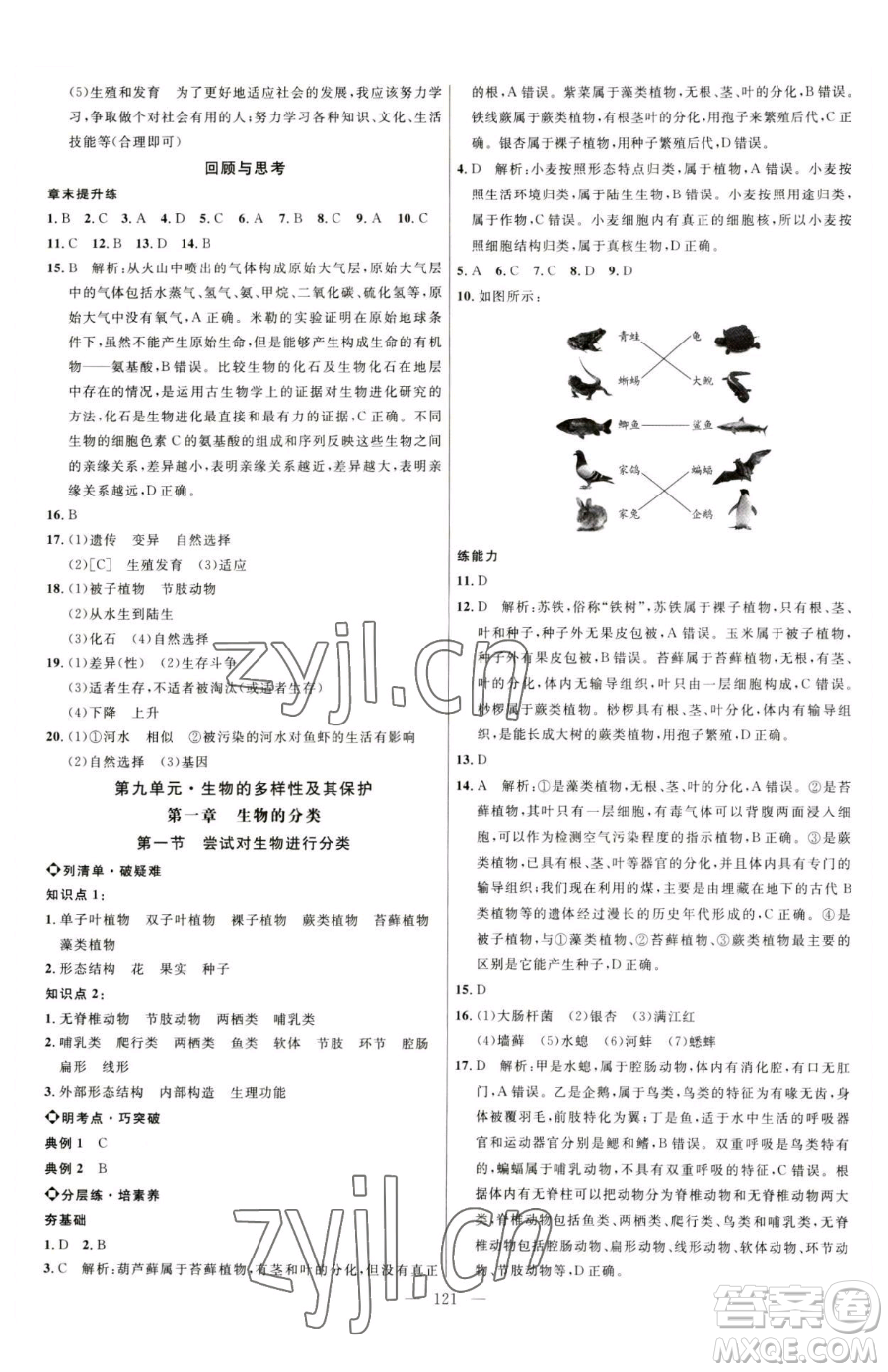 延邊大學(xué)出版社2023細(xì)解巧練八年級(jí)下冊(cè)生物魯教版參考答案