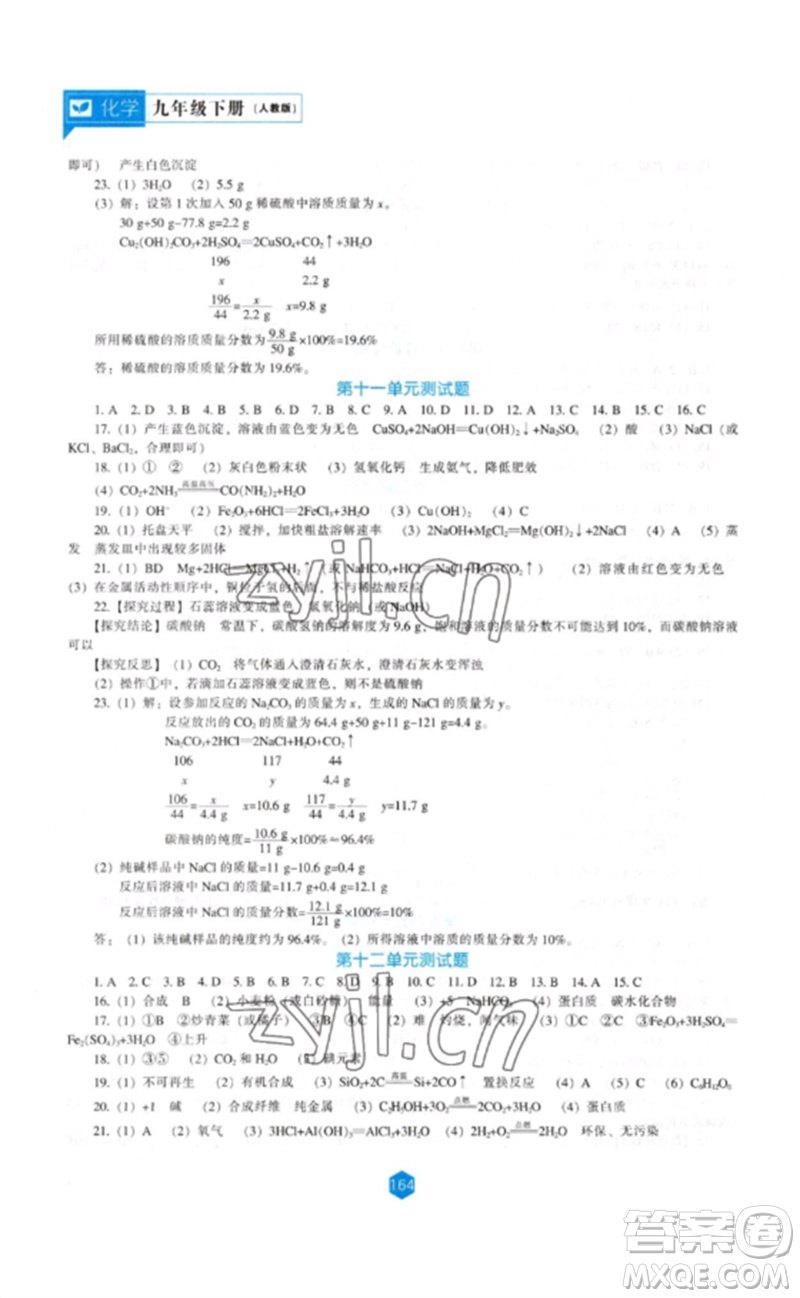 遼海出版社2023新課程化學能力培養(yǎng)九年級下冊人教版參考答案