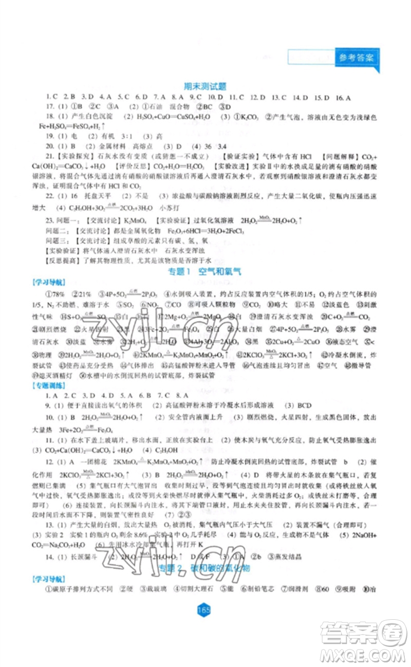 遼海出版社2023新課程化學能力培養(yǎng)九年級下冊人教版參考答案