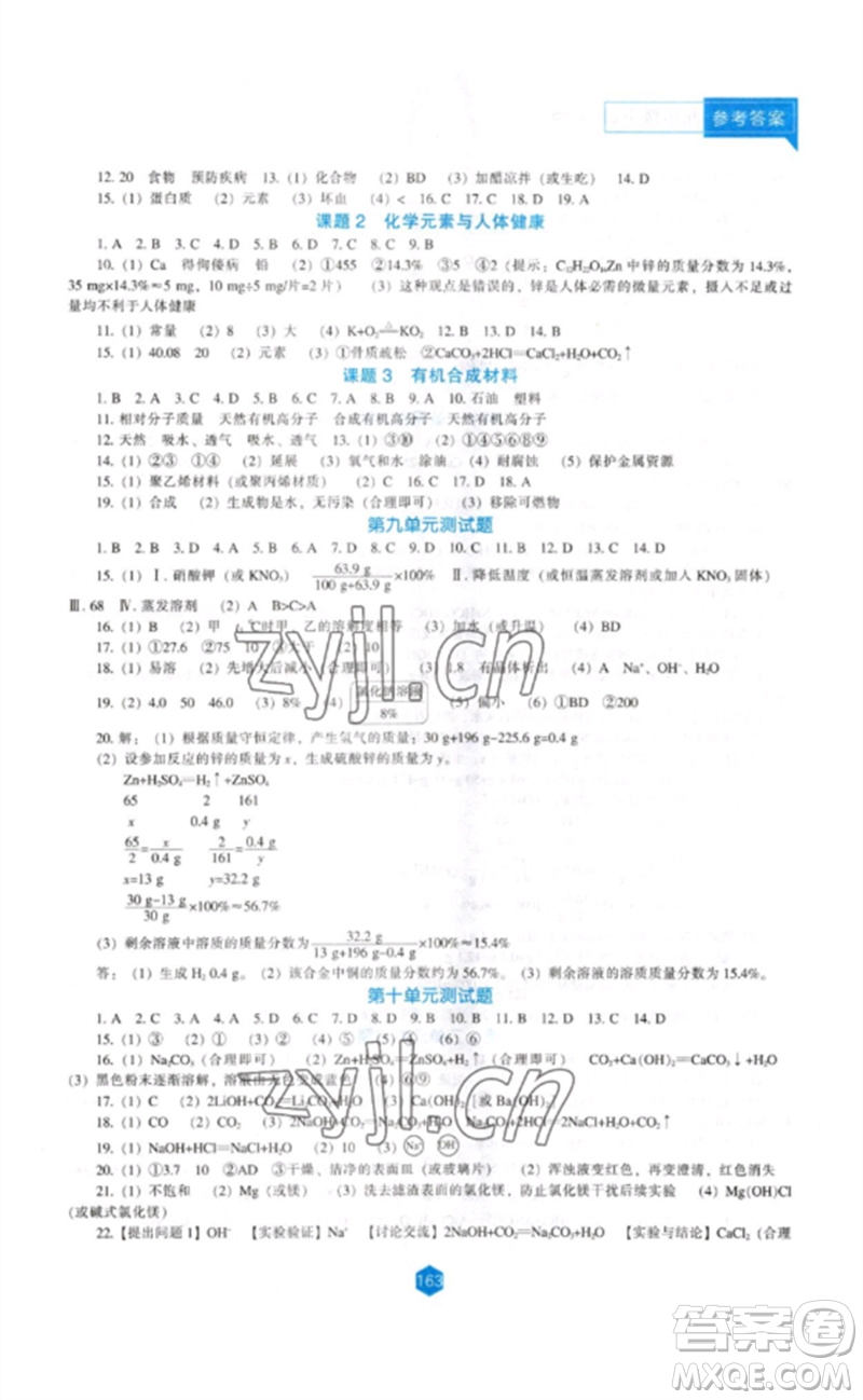 遼海出版社2023新課程化學能力培養(yǎng)九年級下冊人教版參考答案