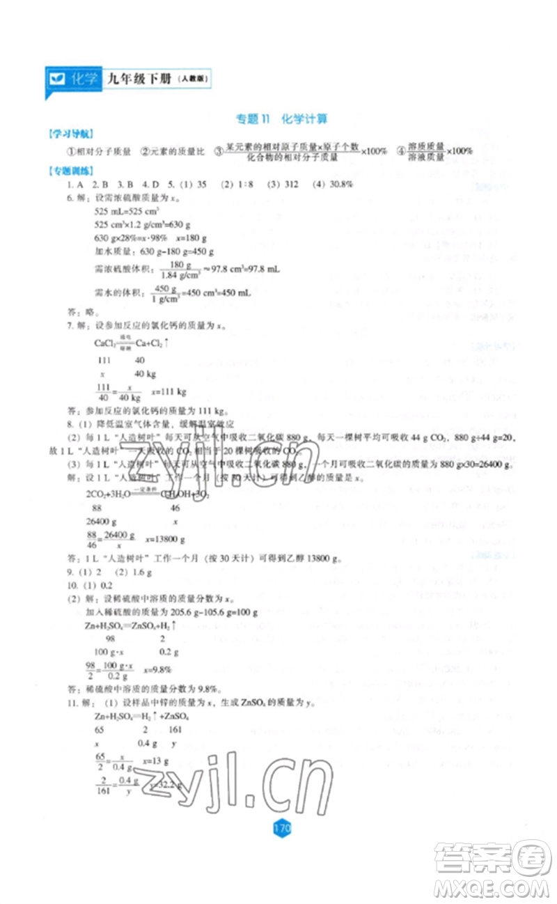 遼海出版社2023新課程化學能力培養(yǎng)九年級下冊人教版參考答案