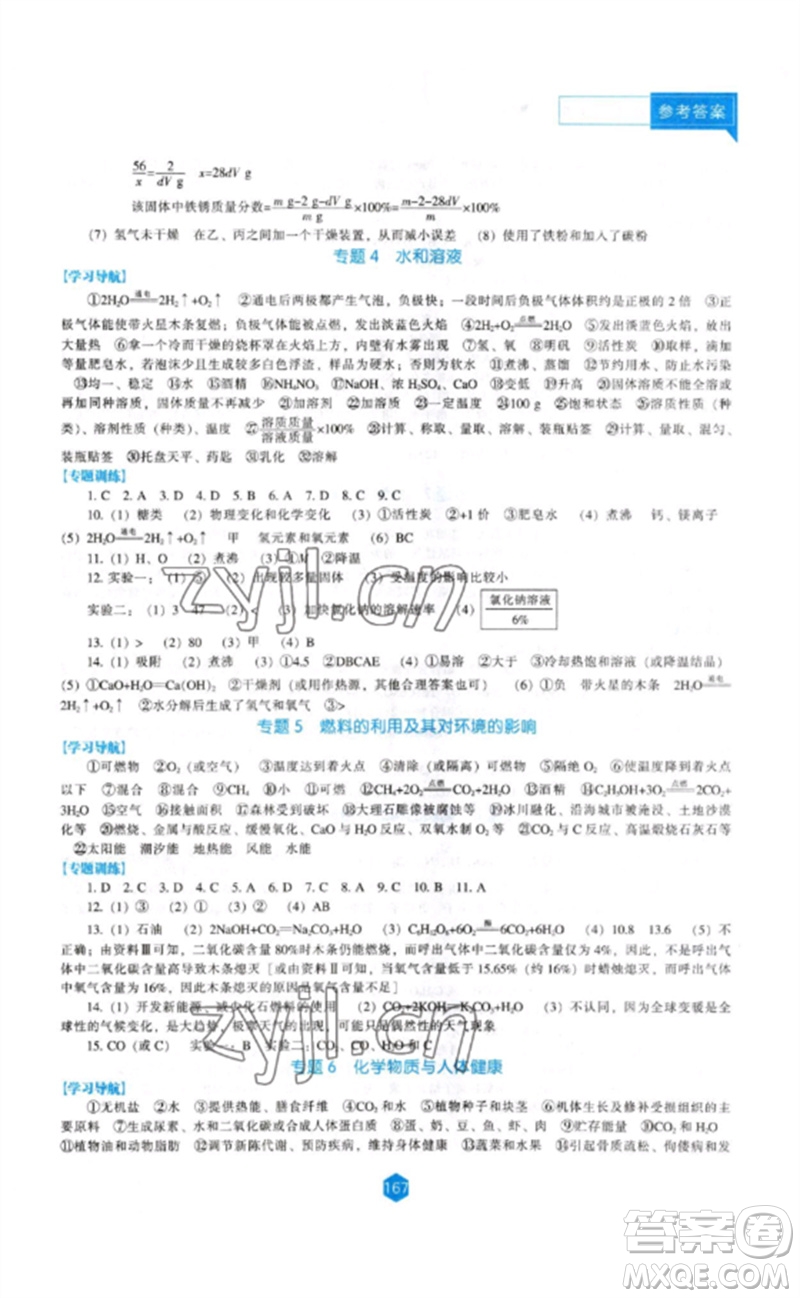 遼海出版社2023新課程化學能力培養(yǎng)九年級下冊人教版參考答案