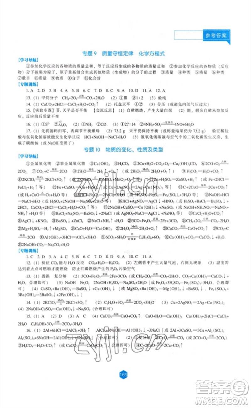 遼海出版社2023新課程化學能力培養(yǎng)九年級下冊人教版參考答案