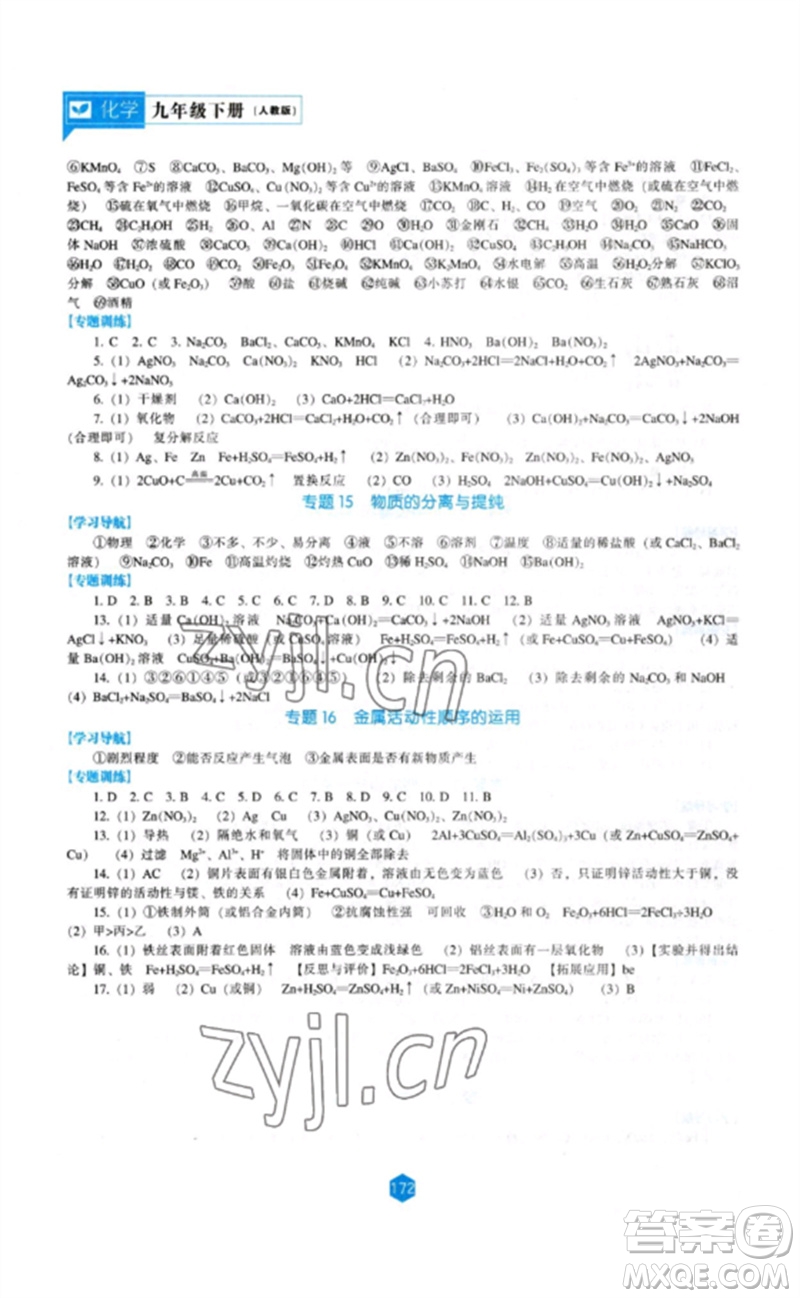 遼海出版社2023新課程化學能力培養(yǎng)九年級下冊人教版參考答案