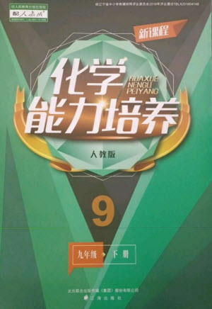 遼海出版社2023新課程化學能力培養(yǎng)九年級下冊人教版參考答案