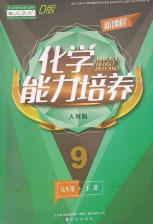 遼海出版社2023新課程化學能力培養(yǎng)九年級下冊人教版D版大連專用參考答案