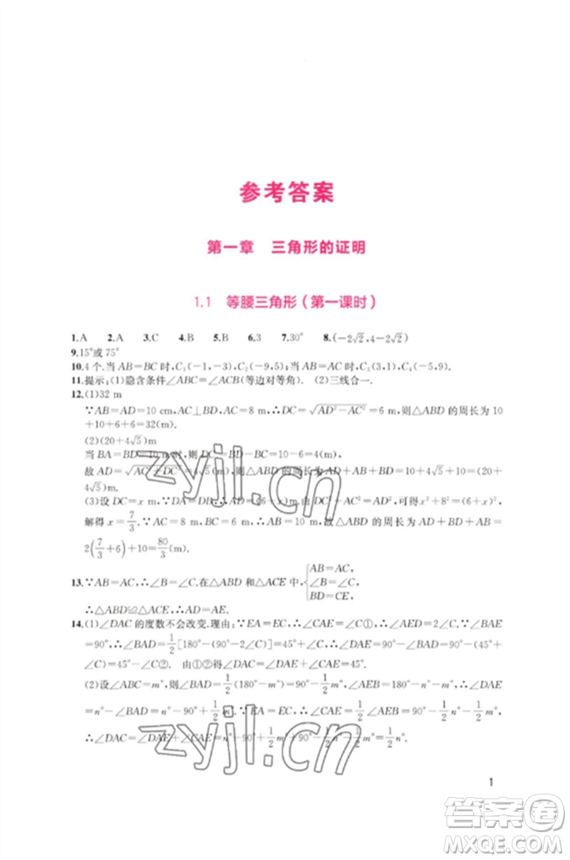 四川教育出版社2023新課程實踐與探究叢書八年級數(shù)學(xué)下冊北師大版參考答案