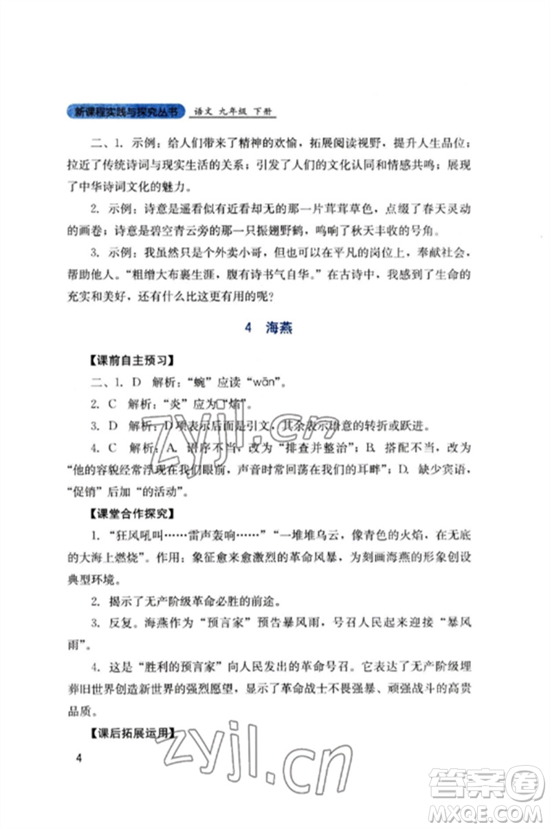 四川教育出版社2023新課程實踐與探究叢書九年級語文下冊人教版參考答案