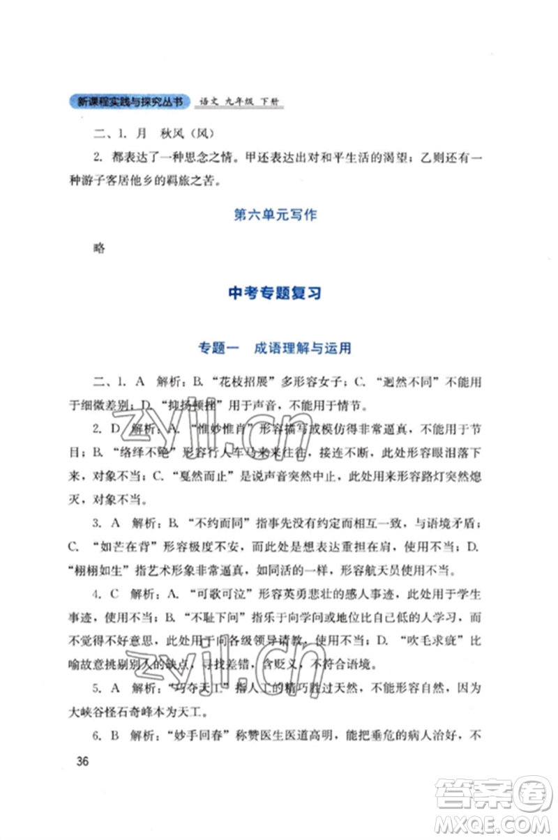 四川教育出版社2023新課程實踐與探究叢書九年級語文下冊人教版參考答案