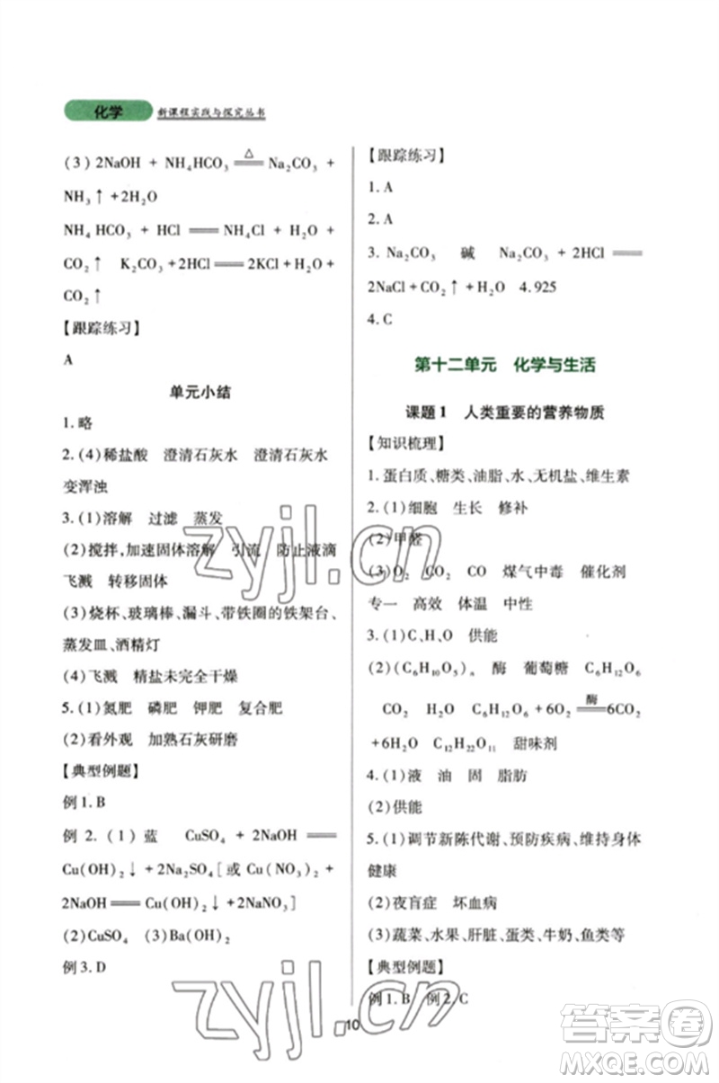 四川教育出版社2023新課程實(shí)踐與探究叢書九年級(jí)化學(xué)下冊(cè)人教版參考答案