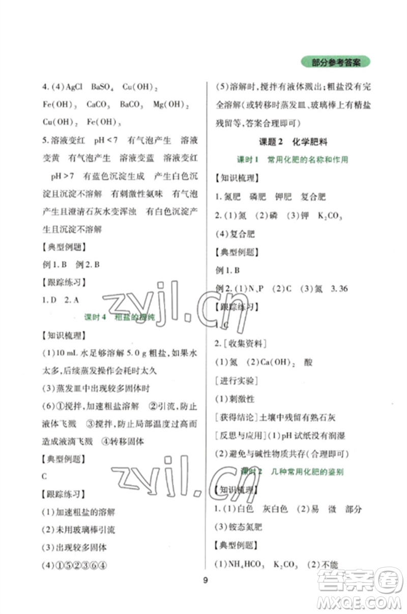 四川教育出版社2023新課程實(shí)踐與探究叢書九年級(jí)化學(xué)下冊(cè)人教版參考答案