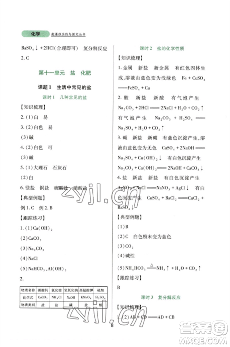 四川教育出版社2023新課程實(shí)踐與探究叢書九年級(jí)化學(xué)下冊(cè)人教版參考答案