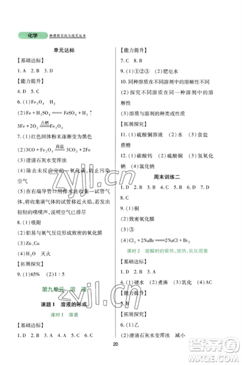 四川教育出版社2023新課程實(shí)踐與探究叢書九年級(jí)化學(xué)下冊(cè)人教版參考答案