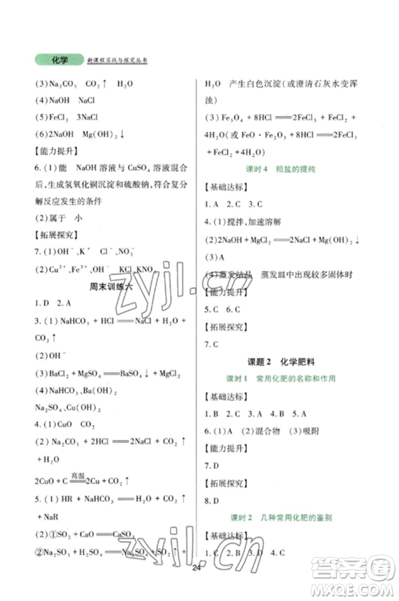 四川教育出版社2023新課程實(shí)踐與探究叢書九年級(jí)化學(xué)下冊(cè)人教版參考答案