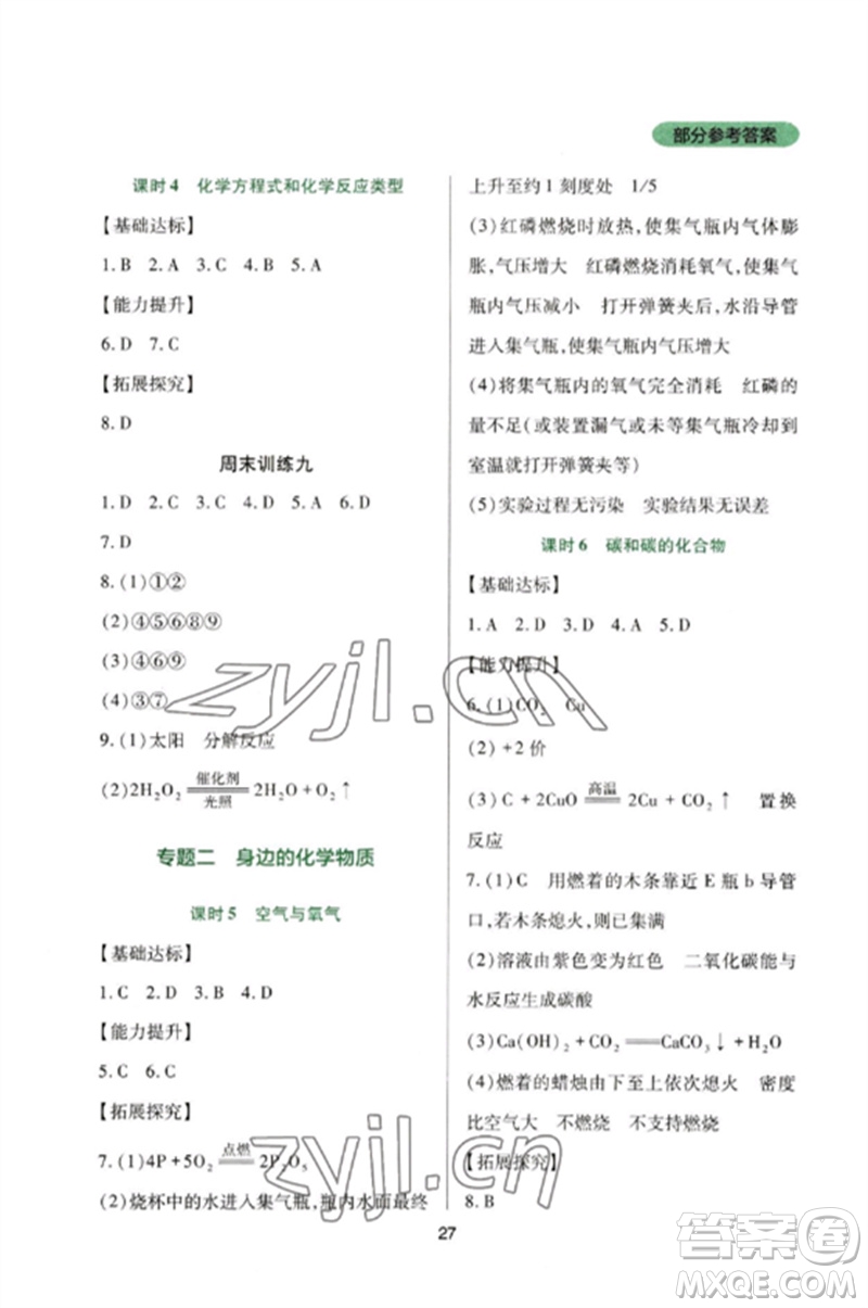 四川教育出版社2023新課程實(shí)踐與探究叢書九年級(jí)化學(xué)下冊(cè)人教版參考答案