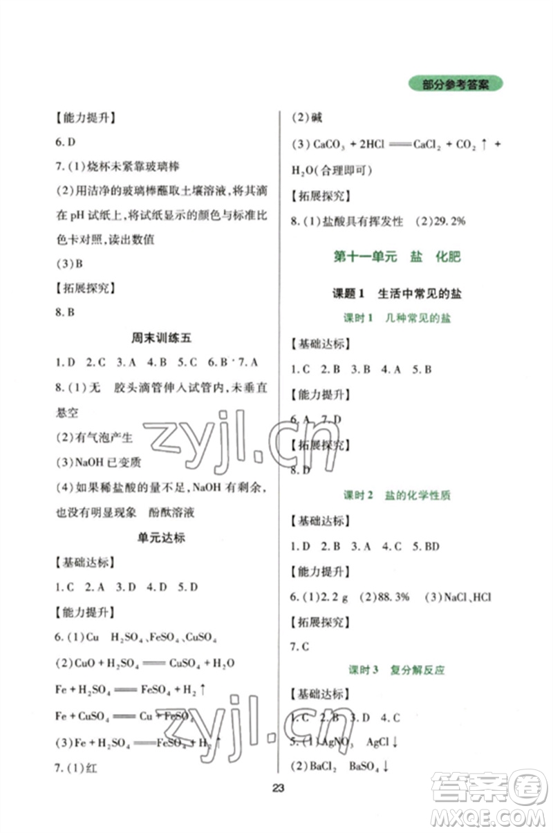 四川教育出版社2023新課程實(shí)踐與探究叢書九年級(jí)化學(xué)下冊(cè)人教版參考答案