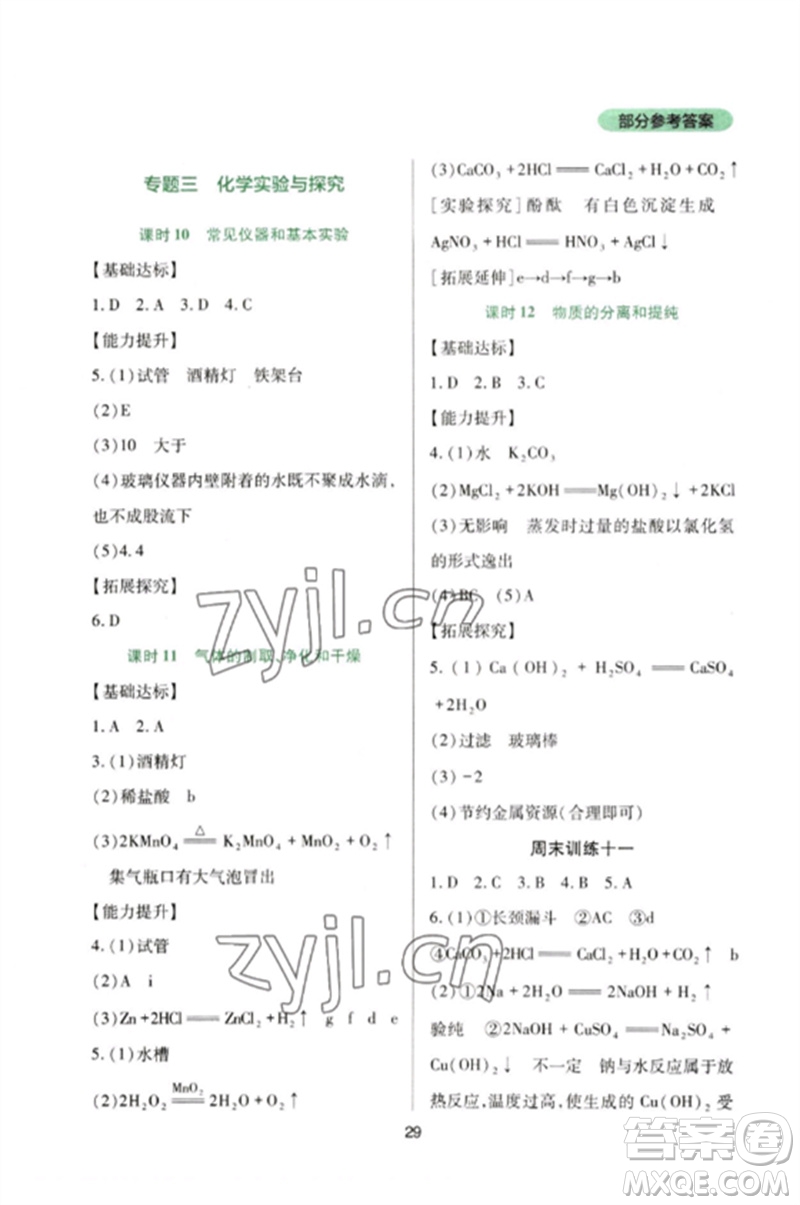 四川教育出版社2023新課程實(shí)踐與探究叢書九年級(jí)化學(xué)下冊(cè)人教版參考答案