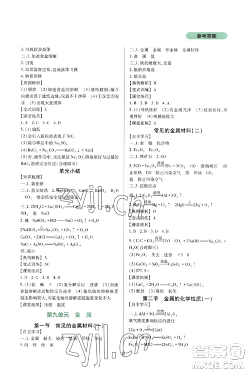 四川教育出版社2023新課程實踐與探究叢書九年級化學下冊魯教版參考答案