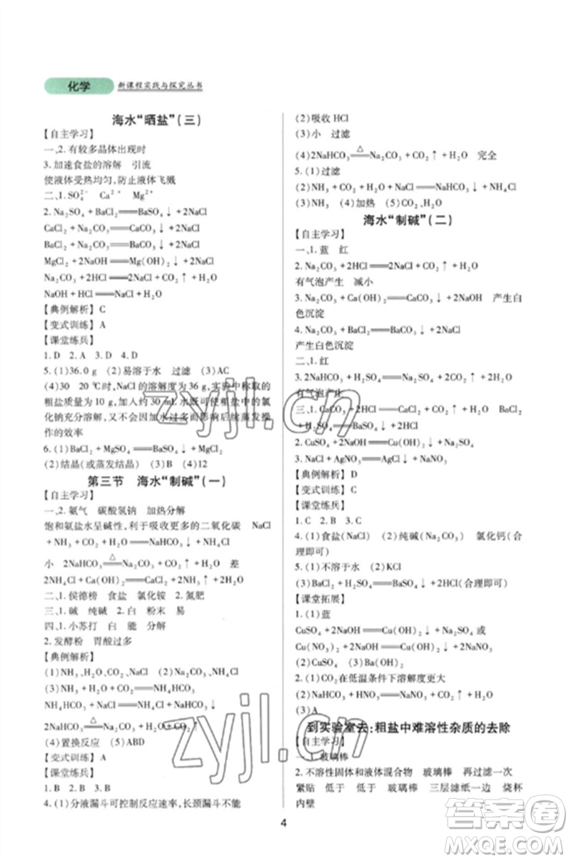 四川教育出版社2023新課程實踐與探究叢書九年級化學下冊魯教版參考答案