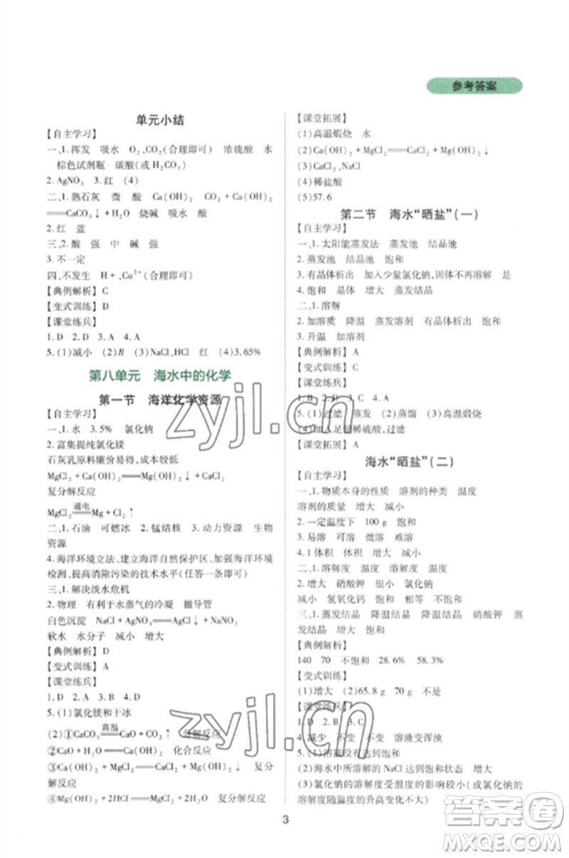 四川教育出版社2023新課程實踐與探究叢書九年級化學下冊魯教版參考答案