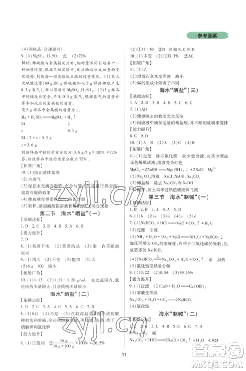 四川教育出版社2023新課程實踐與探究叢書九年級化學下冊魯教版參考答案