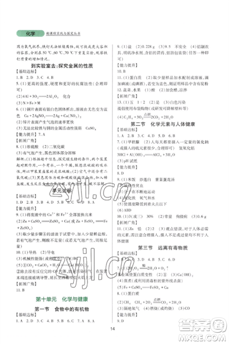 四川教育出版社2023新課程實踐與探究叢書九年級化學下冊魯教版參考答案