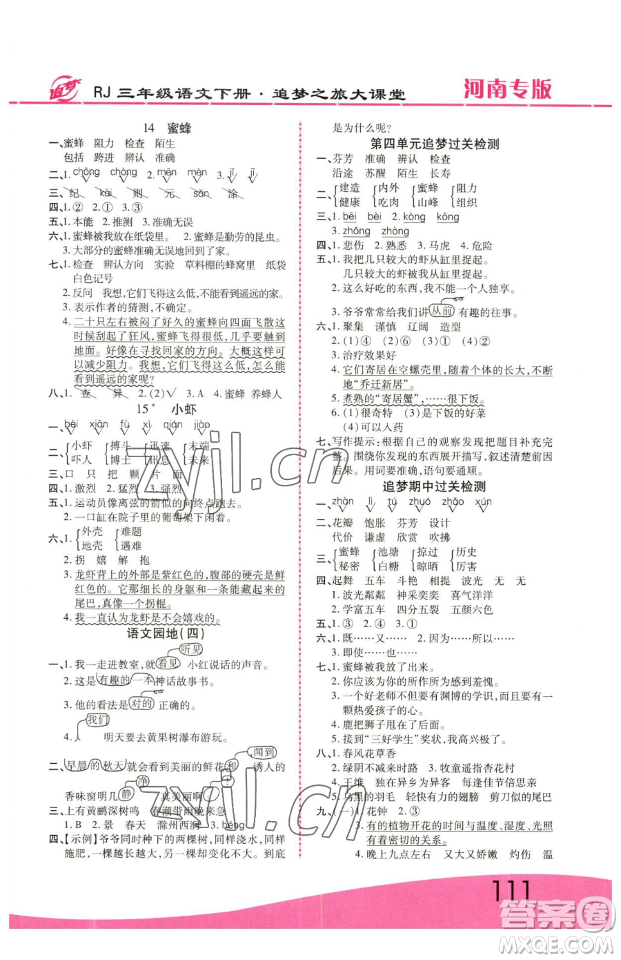 天津科學(xué)技術(shù)出版社2023追夢之旅大課堂三年級下冊語文人教版河南專版參考答案