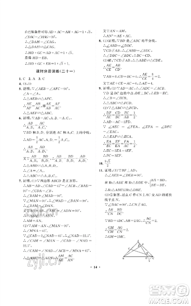 山東教育出版社2023初中同步練習(xí)冊分層卷八年級數(shù)學(xué)下冊魯教版五四制參考答案