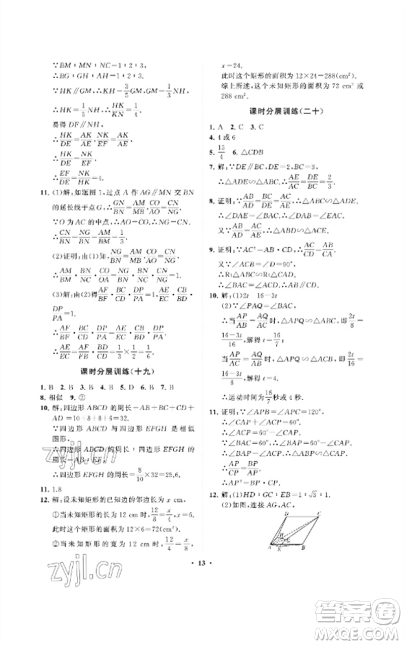 山東教育出版社2023初中同步練習(xí)冊分層卷八年級數(shù)學(xué)下冊魯教版五四制參考答案