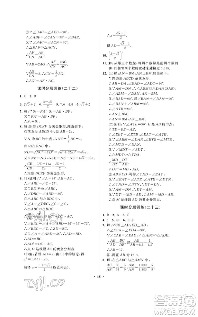 山東教育出版社2023初中同步練習(xí)冊分層卷八年級數(shù)學(xué)下冊魯教版五四制參考答案