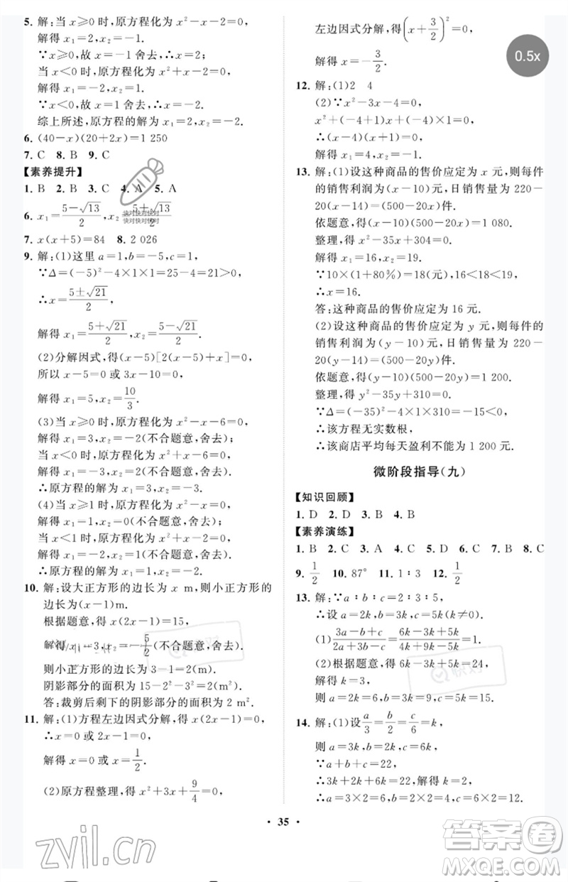 山東教育出版社2023初中同步練習(xí)冊分層卷八年級數(shù)學(xué)下冊魯教版五四制參考答案