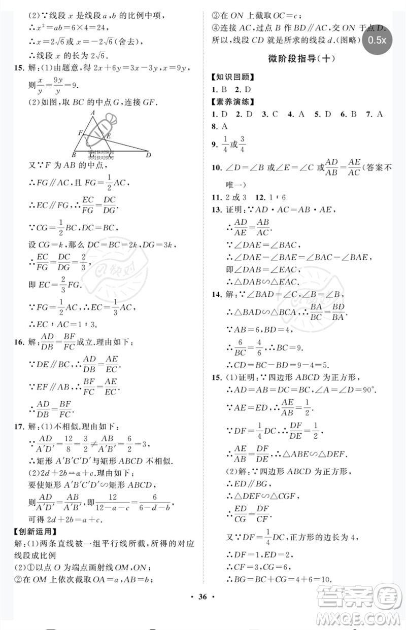 山東教育出版社2023初中同步練習(xí)冊分層卷八年級數(shù)學(xué)下冊魯教版五四制參考答案