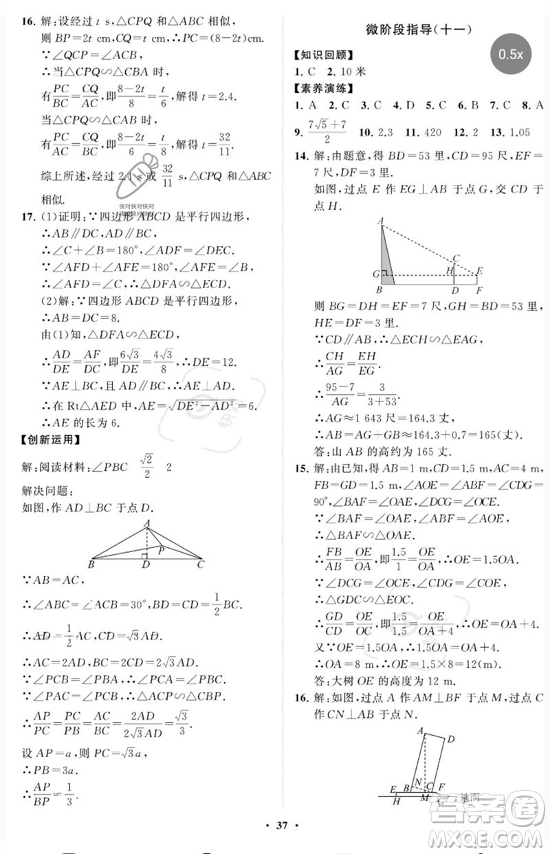 山東教育出版社2023初中同步練習(xí)冊分層卷八年級數(shù)學(xué)下冊魯教版五四制參考答案