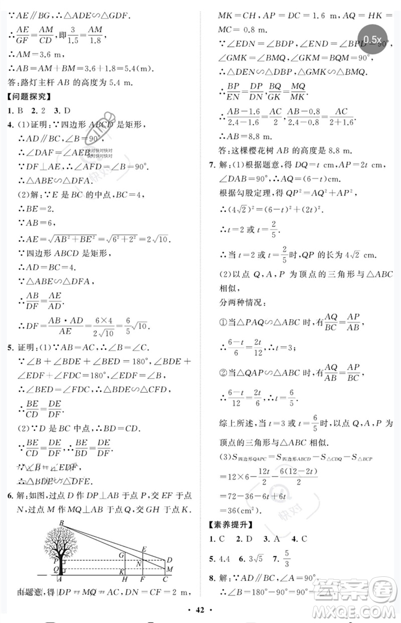 山東教育出版社2023初中同步練習(xí)冊分層卷八年級數(shù)學(xué)下冊魯教版五四制參考答案