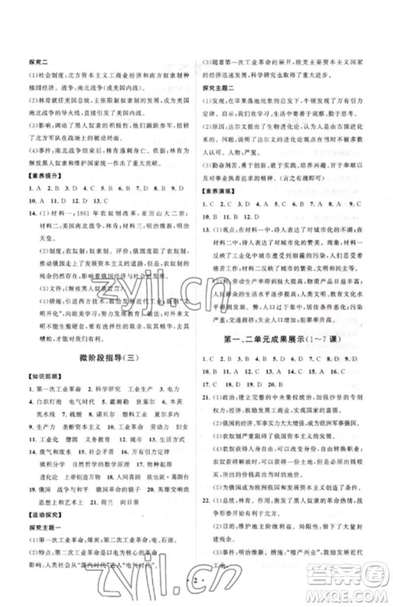 山東教育出版社2023初中同步練習(xí)冊分層卷九年級世界歷史下冊人教版參考答案