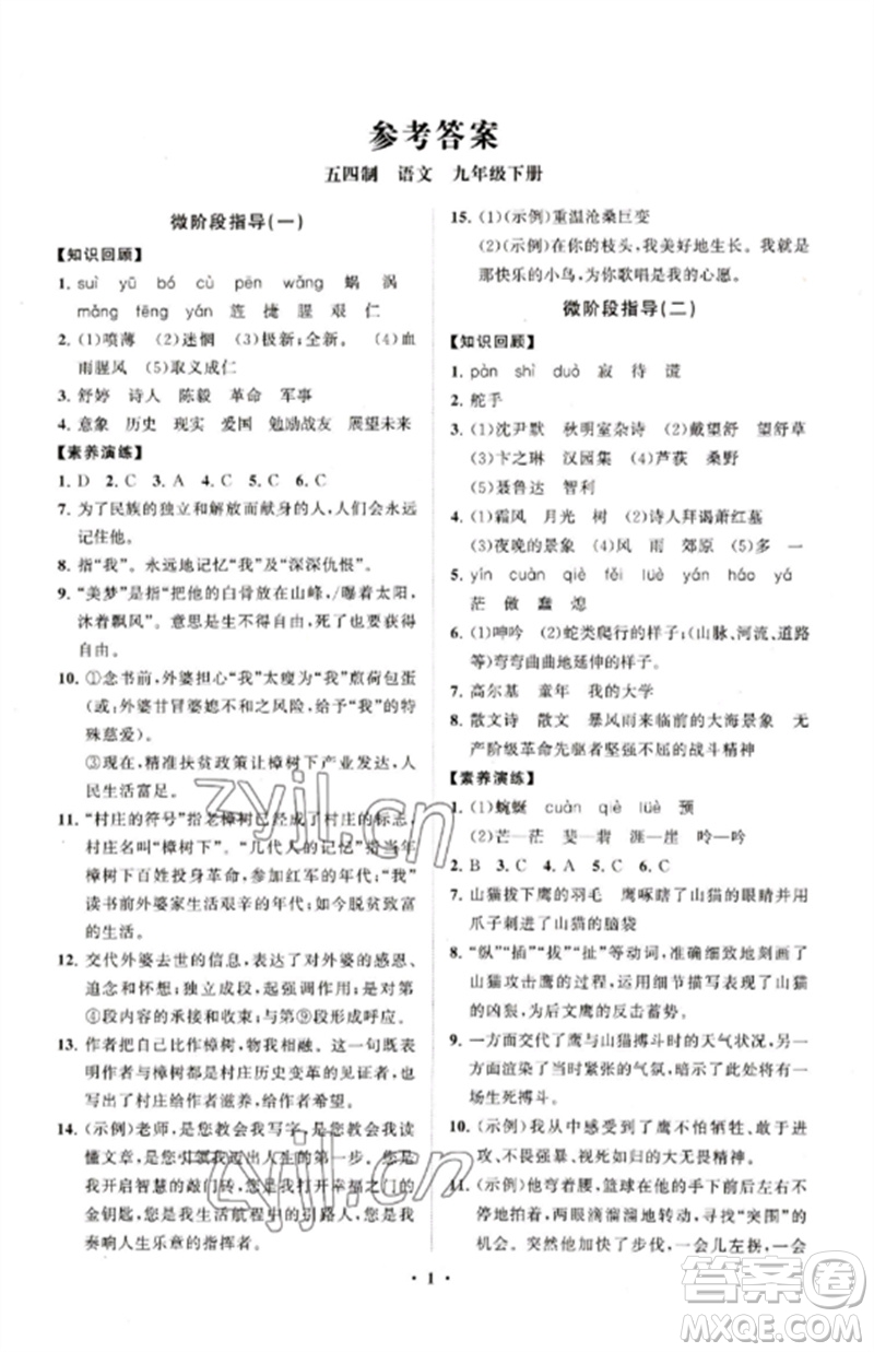 山東教育出版社2023初中同步練習(xí)冊(cè)分層卷九年級(jí)語(yǔ)文下冊(cè)人教版五四制參考答案