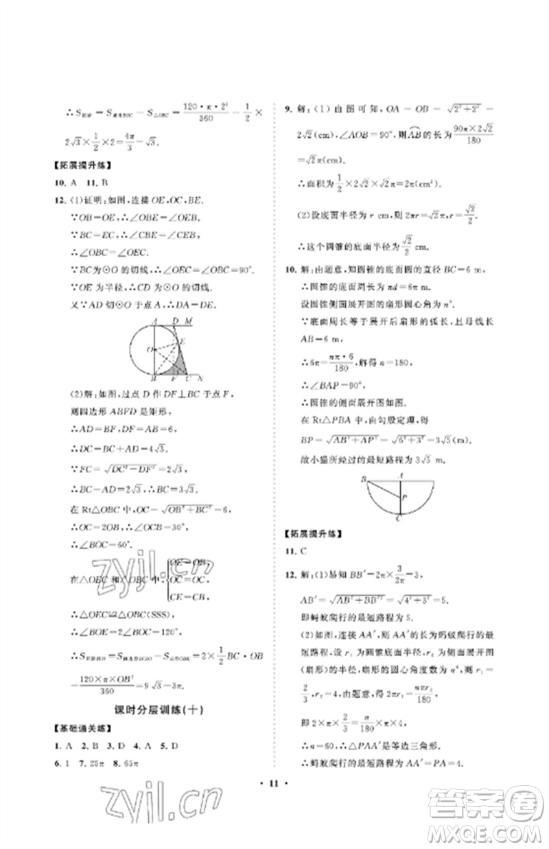 山東教育出版社2023初中同步練習(xí)冊分層卷九年級數(shù)學(xué)下冊魯教版五四制參考答案