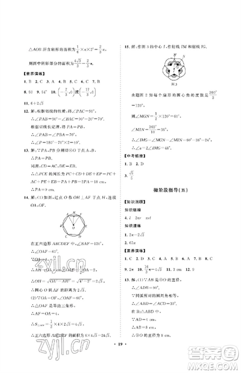 山東教育出版社2023初中同步練習(xí)冊分層卷九年級數(shù)學(xué)下冊魯教版五四制參考答案