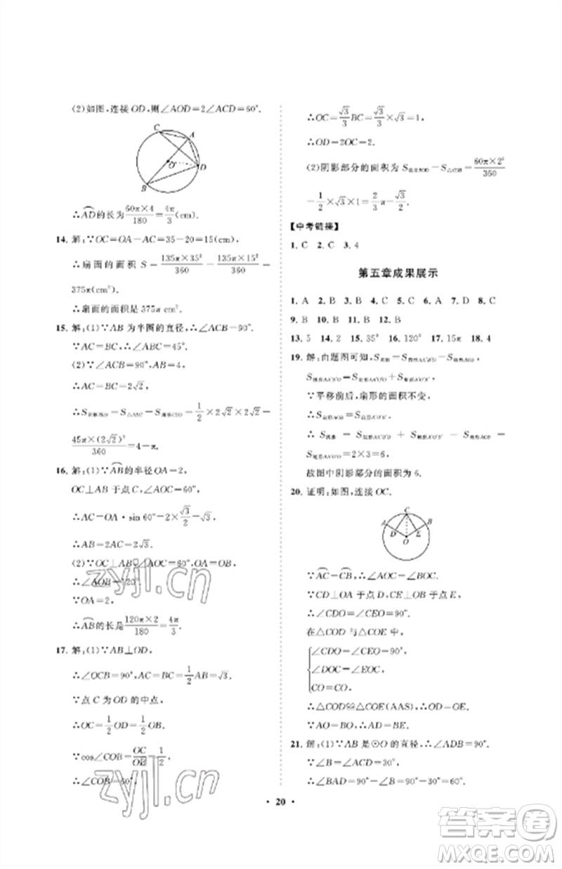 山東教育出版社2023初中同步練習(xí)冊分層卷九年級數(shù)學(xué)下冊魯教版五四制參考答案