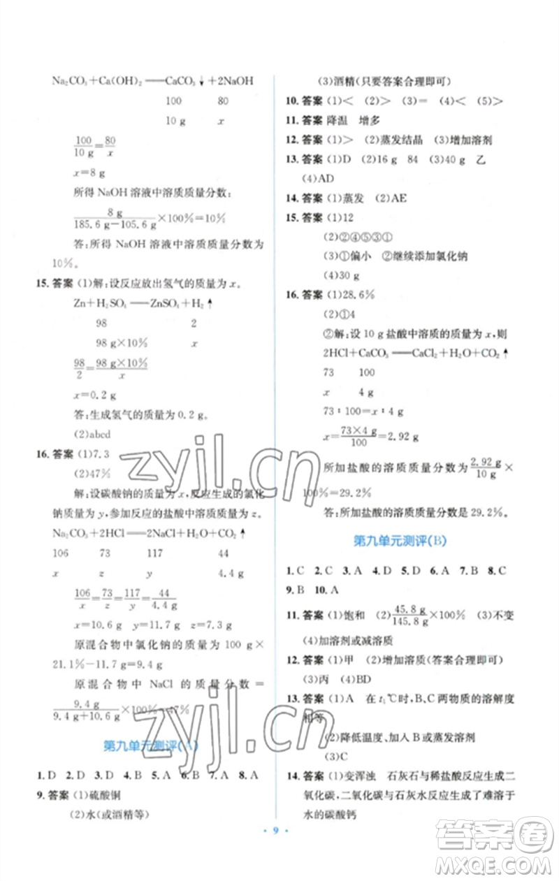 人民教育出版社2023人教金學(xué)典同步解析與測(cè)評(píng)學(xué)考練九年級(jí)化學(xué)下冊(cè)人教版參考答案