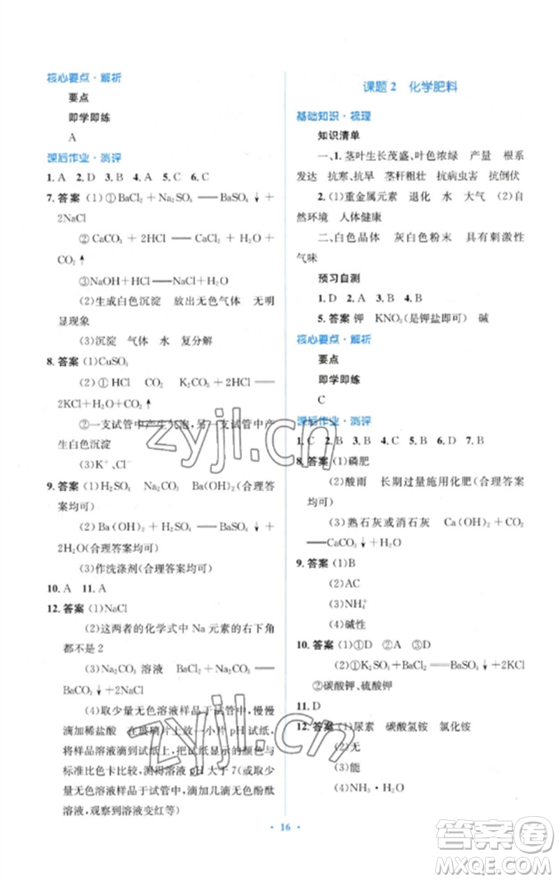 人民教育出版社2023人教金學(xué)典同步解析與測(cè)評(píng)學(xué)考練九年級(jí)化學(xué)下冊(cè)人教版參考答案