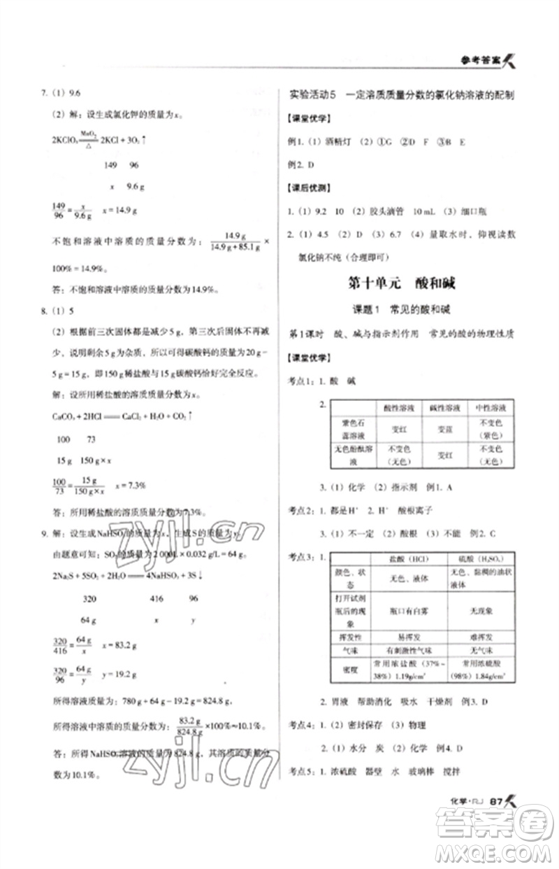 廣東經(jīng)濟(jì)出版社2023全優(yōu)點(diǎn)練課計(jì)劃九年級(jí)化學(xué)下冊人教版參考答案