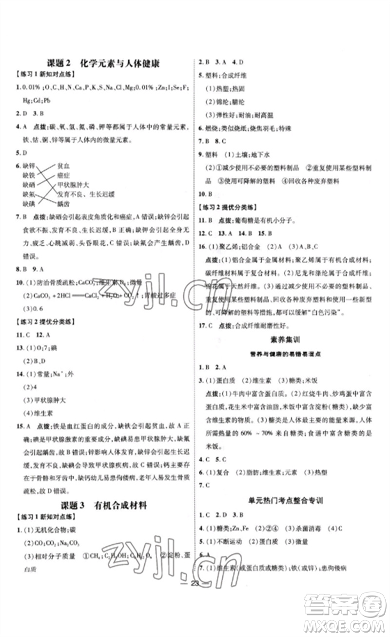 吉林教育出版社2023點(diǎn)撥訓(xùn)練九年級(jí)化學(xué)下冊(cè)人教版參考答案